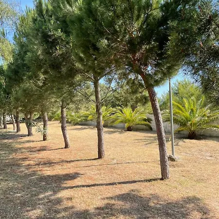 Sota Beach Vlorë