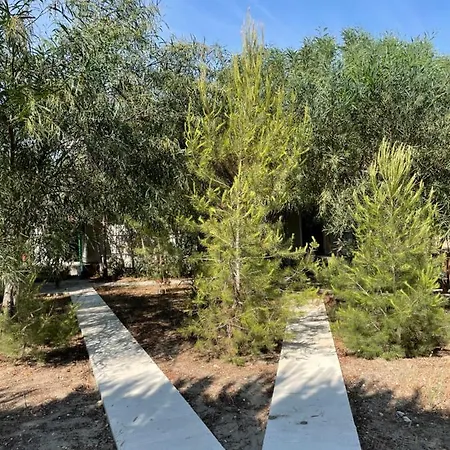 Semesterbostad Sota Beach Vlorë